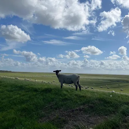 Lejlighed Frieda - Mit Deichblick *