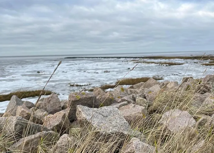 Frieda - Mit Deichblick Apartamento *