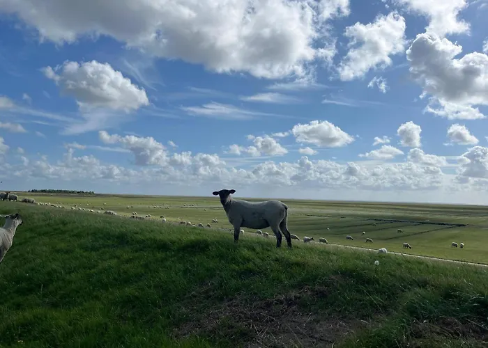 Apartamento Frieda - Mit Deichblick *